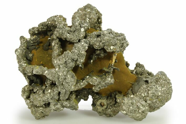 Golden Pyrite on Limonite Clay - Pakistan #283724